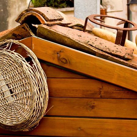 La Chiocciola Bed & Breakfast Trentinara Dış mekan fotoğraf